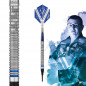 Mobile Preview: Gary Anderson E-Darts Phase 5 Softtip 20 gr.