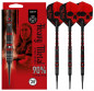 Preview: HARROWS Ryan Searle Softtip / E-Darts 20 gr.