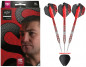 Preview: Target Nathan Aspinall G2 "The Asp" SWISS-POINT Steeldarts