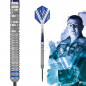 Preview: Gary Anderson Phase V5 Steel-Darts 90%