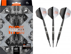 Target Raymond van Barneveld 95% G4 ECHO 20 gr.