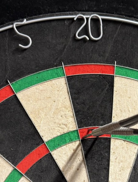 MasterGrade Plain Dartboard